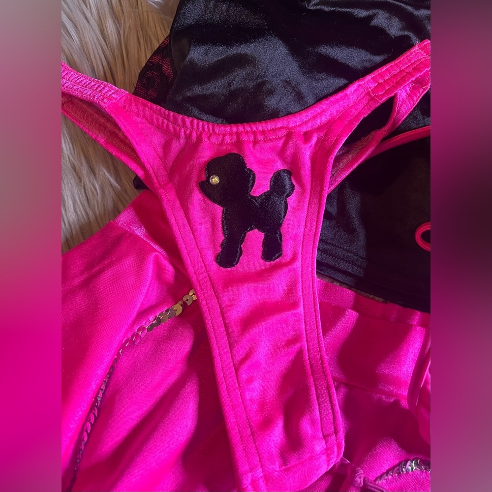 Custom made poodle skirt costume - Picture 7 of 9